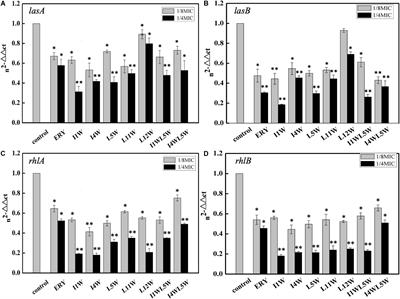 Trp-Containing Antibacterial Peptides Impair Quorum Sensing and Biofilm Development in Multidrug-Resistant Pseudomonas aeruginosa and Exhibit Synergistic Effects With Antibiotics